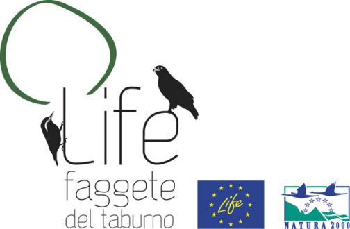 Il progetto Life+ Faggete del Taburno entra nella sua fase operativa