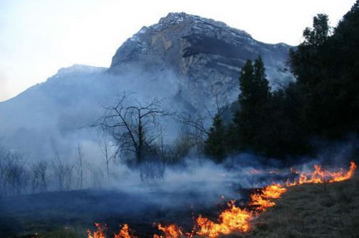 Prevenzione incendi boschivi, la Fai Cisl scrive al Prefetto