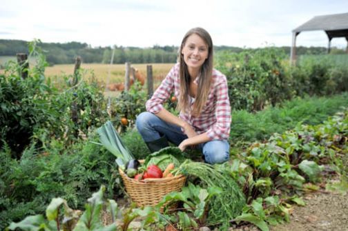 Contributi in natura alle imprese agricole giovani per servizi di sostituzione