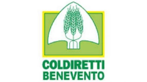 Viabilità, Coldiretti: ‘Urgente ripristinare l’assetto stradale’