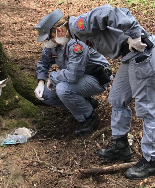 Parco regionale del Taburno, i Carabinieri Forestali rinvengono carcassa avvelenata