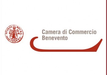 camera_commercio_logo